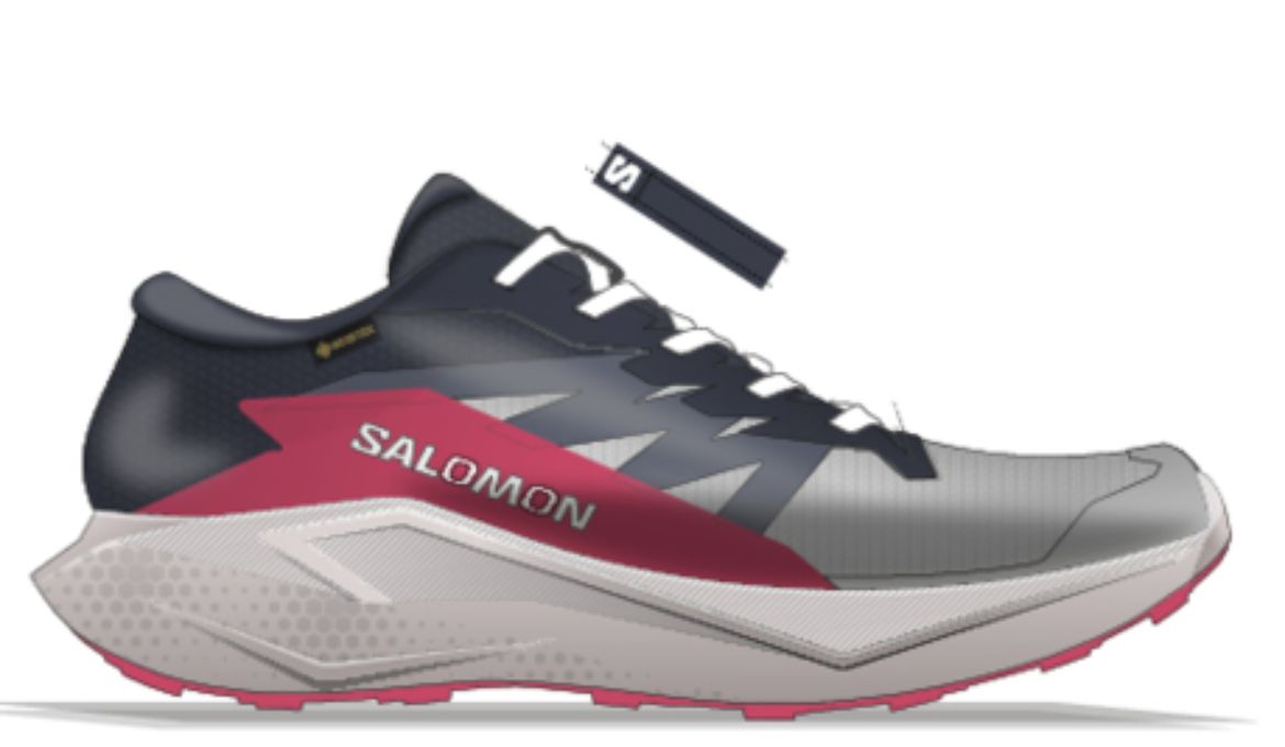 Bilde av Salomon Alphaglide Gtx W Blå