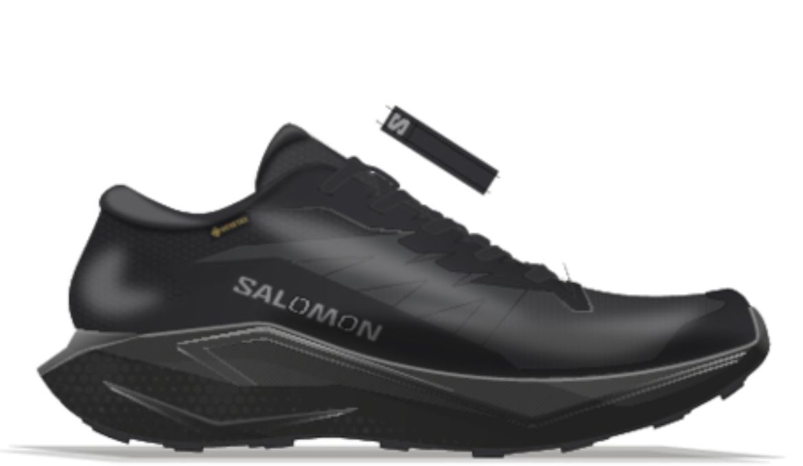 Bilde av Salomon Alphaglide Gtx Sort