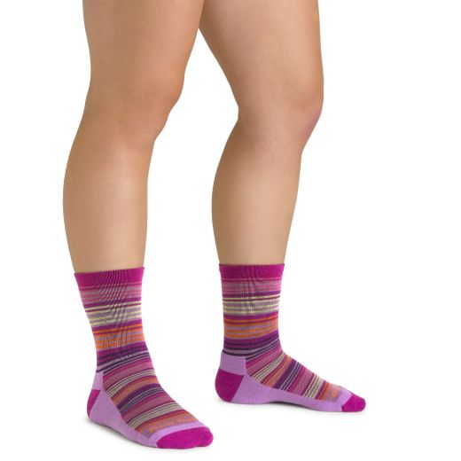 Bilde av Darn Tough Zebra Canyon Micro Crew Lightweight With Cushion Multicolor