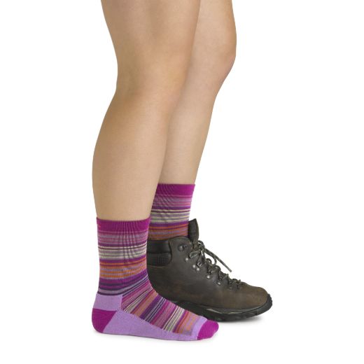 Bilde av Darn Tough Zebra Canyon Micro Crew Lightweight With Cushion Multicolor