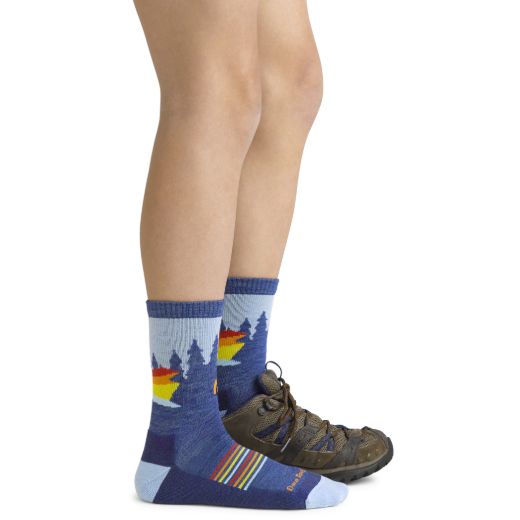 Bilde av Darn Tough Van Wild Micro Crew Lightweight With Cushion Multicolor