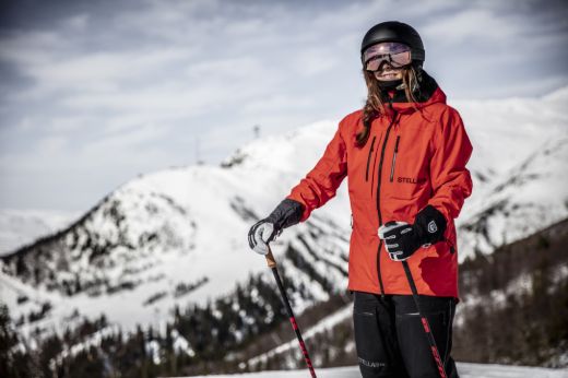 Bilde av Hestra Army Leather Heli Ski - 5 Finger 100 Black