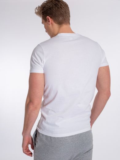 Bilde av U.S Polo Assn U.S POLO ASSN.  USPA T-Shirt Arjun Men 11-0601tcx White