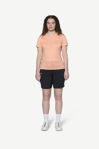 Devold Devold Active Tee Wmn GO 293 291 C Fjellklar Sport 3